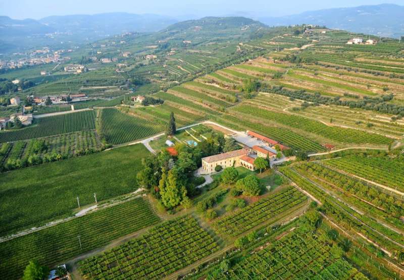 azienda-brigaldara-valpolicella-proefwijn